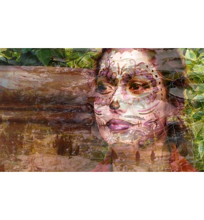 Reflections on Day of the Dead ..