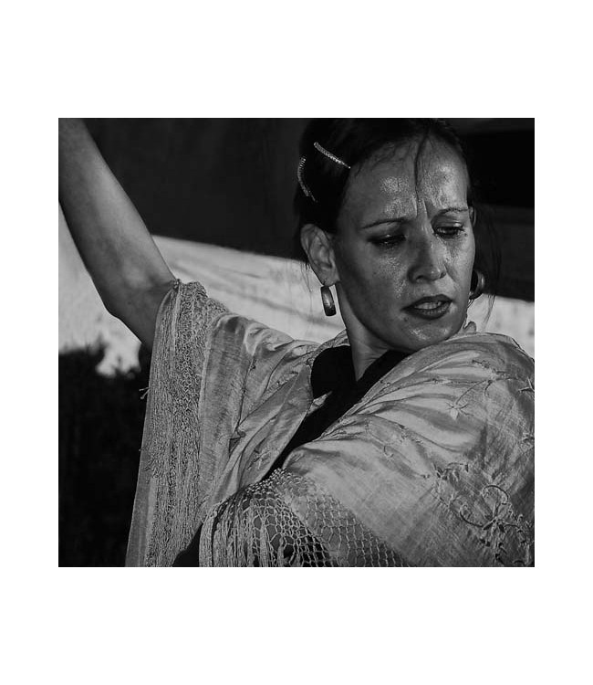 Flamenco Dancer 
