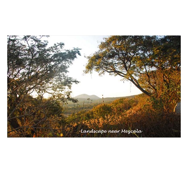 landscapenearmezcala