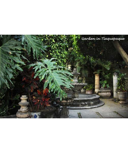 gardenintlaquepaque